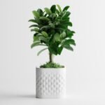 Plant Pot Flowform