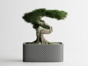 Plant Pot Fine Rib Rounded Rectangle Low