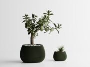 Modern Ribbed Planter Plant Series 7
