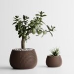 Modern Ribbed Planter Plant Series 5