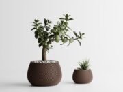 Modern Ribbed Planter Plant Series 5