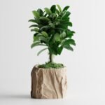 Crumbled Paper Plant Pot Square