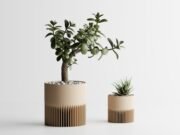 Modern Ribbed Planter Plant Series 1
