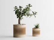 Modern Ribbed Planter Plant Series 2