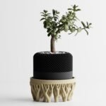 Oragnic Bowl / Planter Stand
