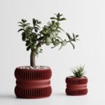 Modern Ribbed Planter Plant Series 3