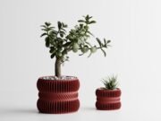 Modern Ribbed Planter Plant Series 3