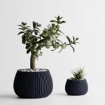 Modern Ribbed Planter Plant Series 4