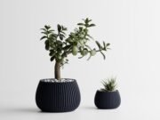 Modern Ribbed Planter Plant Series 4
