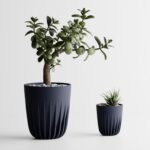 Plant Pot Aurea