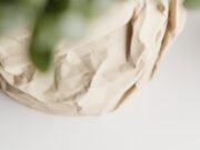 Crumbled Paper Plant Pot - Imagen 2