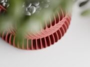 Modern Ribbed Planter Plant Series 3 - Imagen 2