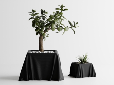 Maceta Silk Cloth