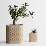 Plant Pot Seraphis