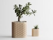 Plant Pot Seraphis