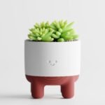 Plant Pot Melo