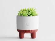Plant Pot Melo