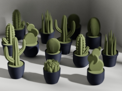 Accesorio Mini Succulent Set