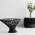 Organizador Voronoi