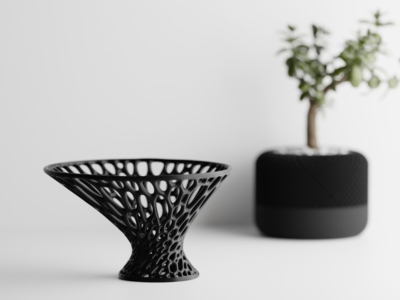 Organizador Voronoi