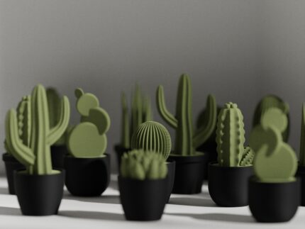 Accesorio Mini Succulent Set - Imagen 2