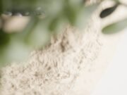 Plant Pot Stratum - Imagen 2