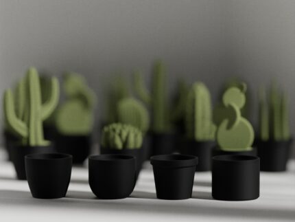 Accesorio Mini Succulent Set - Imagen 3
