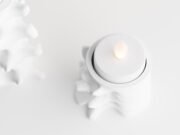 Vertebralis - Imagen 2