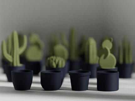 Accesorio Mini Succulent Set - Imagen 3