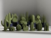 Mini Succulent Set - Imagen 4