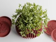 Plant Pot Verdanova - Imagen 5