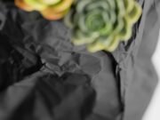 Kraftique - Imagen 2