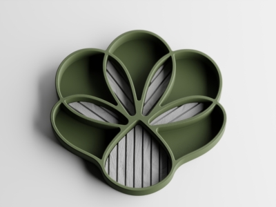 Organizador Auralis