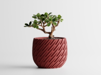 Maceta Lioren