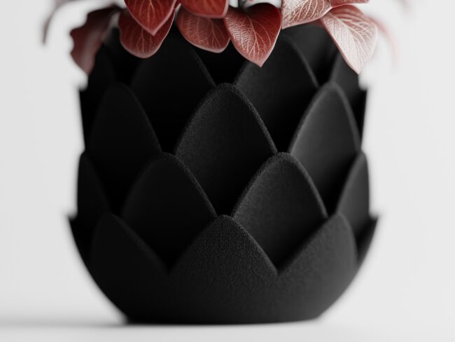 Maceta Phyllara - Imagen 4