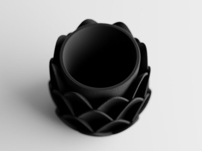 Maceta Phyllara - Imagen 5