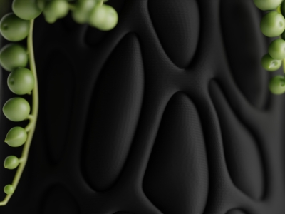 Maceta Vesica - Imagen 5