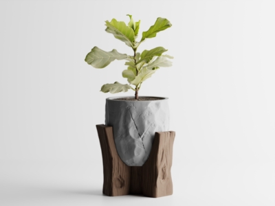 Maceta Grotia