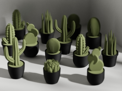 Set Calma: Stick + Succulent - Imagen 2