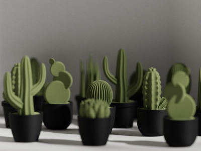 Set Calma: Stick + Succulent - Imagen 3
