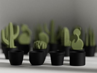 Set Calma: Stick + Succulent - Imagen 4