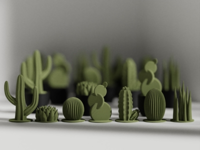 Set Calma: Stick + Succulent - Imagen 5